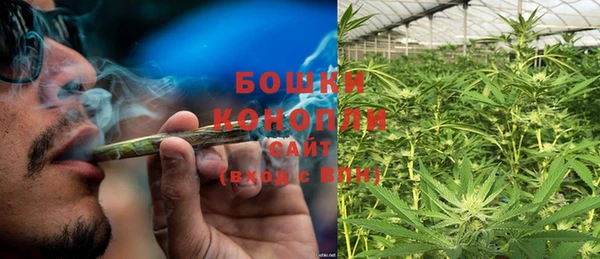 ешки Аркадак