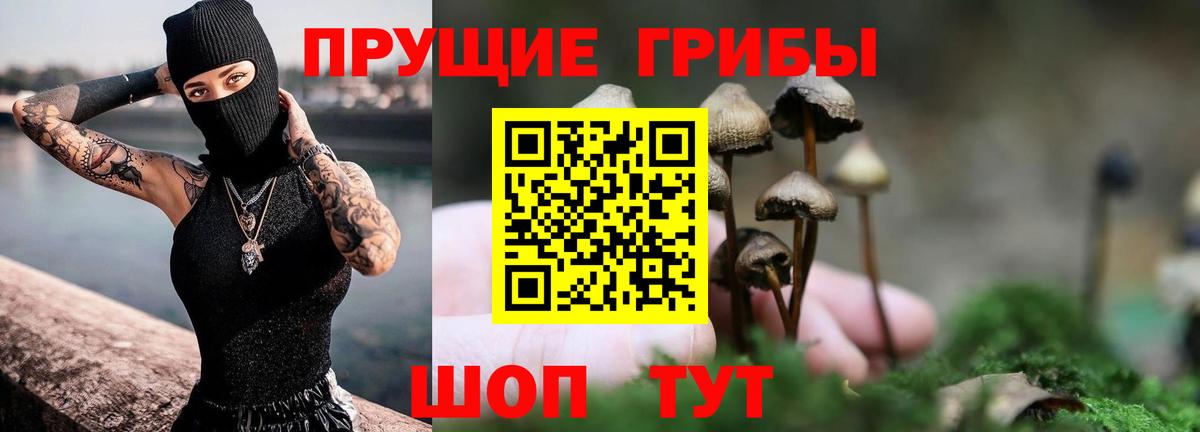 Псилоцибиновые грибы ЛСД Ногинск